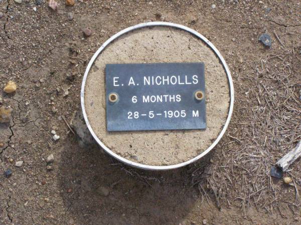 E.A. NICHOLLS, male,  | died 28-5-1905 aged 6 months;  | Ma Ma Creek Anglican Cemetery, Gatton shire  | 