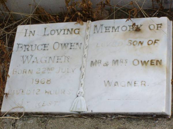 Ludwig WAGNER, husband,  | died 27 Feb 1928 aged 85 years;  | Henrietta WAGNER,  | died 10 April 1940 aged 95 years;  | Bruce Owen WAGNER,  | son of Mr & Mrs Owen WAGNER,  | born 22 July 1968 lived 12 hours;  | Ma Ma Creek Anglican Cemetery, Gatton shire  | 
