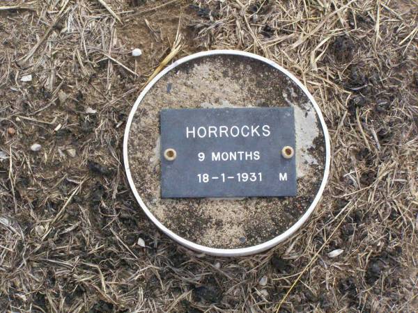 HORROCKS, male,  | died 18-1-1931 aged 9 months;  | Ma Ma Creek Anglican Cemetery, Gatton shire  | 