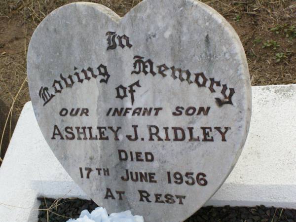 Ashley J. RIDLEY, infant son,  | died 17 June 1956;  | Ma Ma Creek Anglican Cemetery, Gatton shire  | 