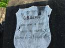 G.B. DANCE, died 8 June 1925 aged 60 years, erected by wife; Marburg Anglican Cemetery, Ipswich 