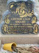 
Connor Liam SMART,
19-9-2004 - 19-9-2004,
son of Gary & Debbie;
Marburg Lutheran Cemetery, Ipswich
