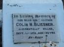 
Colin N. BLIESNER, son brother,
accidentally killed 13 Sept 1952 aged 23 years;
Marburg Lutheran Cemetery, Ipswich
