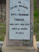 
Otto Herman FREESE,
died 24 Jan 1924 aged 12 years;
Marburg Lutheran Cemetery, Ipswich
