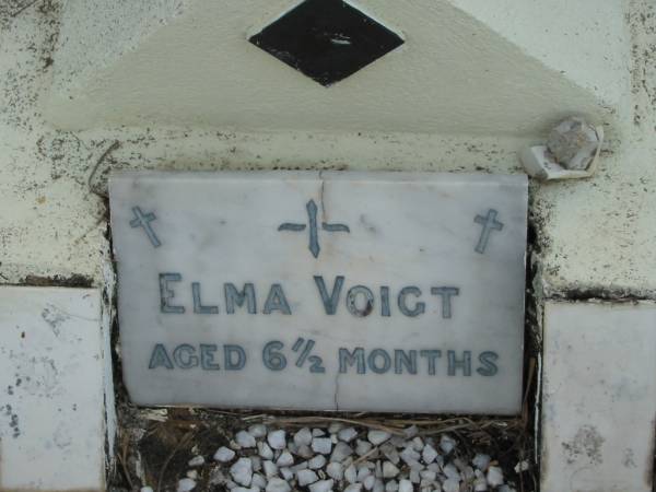 Elma VOIGT,  | aged 6 and a half months;  | Marburg Lutheran Cemetery, Ipswich  | 