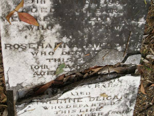 William MCADAM,  | first chief constable Maryborough,  | died 9 March 1864 aged 70? years;  | Rosehannah MCADAM,  | died 10 March aged 7? years;  | Catherine? DEIGAN,  | died 23 Dec 1860 aged 24 years;  | Pioneer Cemetery, Maryborough  | 