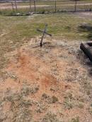  Meandarra cemetery Copyright Dr Matt Barton 