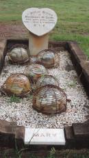 DSCN1405.JPG