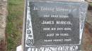 DSCN1534.JPG