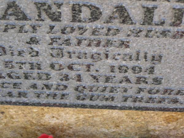Jeffrey Mark RANDALL,  | husband father,  | died tragically 5 Oct 1994 aged 34 years;  | Meringandan cemetery, Rosalie Shire  | 