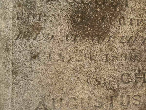 John Gustav Francis MIRCHINN,  | born Berlin Geramny,  | died North Farm Goombungee 17 Aug 1890 aged 55? years;  | George August MIRCHINN,  | born Wertemberg? Germany,  | died North Farm Goombungee 29 July 1890 aged 34? years;  | Charles Augustus MIRCHINN,  | born Wertemberg? Germany,  | killed fall from horse Winton 11 Aug 1890 aged 22 years;  | Meringandan cemetery, Rosalie Shire  |   | 