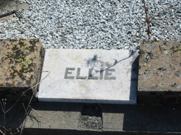 Ellen (Ellie) W. ANDREW,  | died 17 June 1958 aged 82 years;  | William F. ANDRW,  | died 31 July 1961 aged 89 years;  | Meringandan cemetery, Rosalie Shire  | 