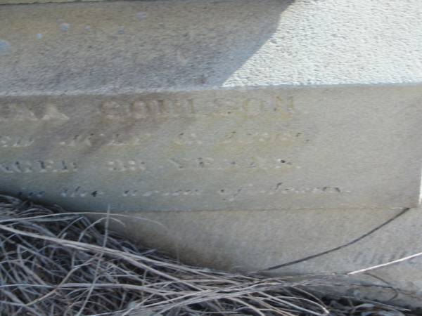 William A. COULSON,  | husband of Lena COULSON,  | died 6 July 1896? aged 39 years;  | Meringandan cemetery, Rosalie Shire  | 