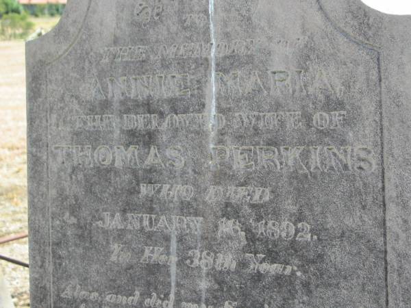 Annie Maria,  | wife of Thomas PERKINS,  | died 16 Jan 1892 in 38th year;  | Meringandan cemetery, Rosalie Shire  | 