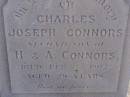 
Charles Joseph CONNORS,
second son of H. & A. CONNORS,
died 4 Feb 1902 ages 29 years;
Henry CONNORS,
native of Co. Tipperary Ireland,
died Toowoomba 15 March 1871 aged 40 years;
Meringandan cemetery, Rosalie Shire

