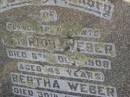 
parents;
Heinrich WEBER,
died 6 Oct 1908 aged 45 years;
Bertha WEBER,
died 30 July 1856 aged 83 years;
Frederick,
brother,
died 6 June 1910 aged 10 years;
Meringandan cemetery, Rosalie Shire
