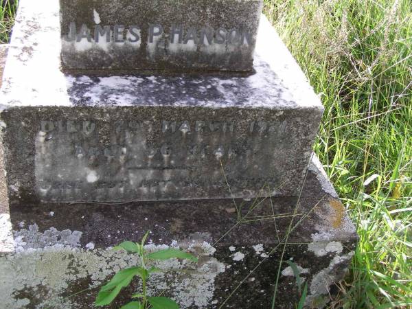 James P. HANSON,  | died 7 March 1921 aged 56 years;  | Milbong General Cemetery, Boonah Shire  |   |   | Research contact: Gay Fielding  | Descendants of Mary MEIKLE  | 1. MARY MEIKLE ( was born 24 March 1850 in Waterside, Ayrshire, Scotland, and died 10 May 1927 in Milbong Queensland Ausralia. . She married (2) JAMES PETER HANSON 29 December 1874 in Six Mile Creek,Via Ipswich Queensland Australia. He was born 1841 in Eskdale, Finland, and died 14 June 1929 in Milbong, Queensland, Australia.  | Children of MARY MEIKLE and JAMES HANSON are:  | 3. ii. MARY CECILIA  HANSON, b. 15 December 1875; d. 14 January 1898, MILBONG, QLD  | 4. iii. JANE MATILDA HANSON, b. 19 April 1877, BUNDAMBA, WEST MORETON, QLD; d. 30 May 1959, BOONAH, QLD.  | 5. iv. WILLIAM GEORGE HANSON, b. 16 January 1879, Bundamba, West Moreton, Queensland, Australia; d. 3 April 1961, Wondai, Queensland, Australia.  | 6. v. JANET MEIKLE HANSON, b. 19 April 1882; d. 8 March 1965.  | 7. vi. JAMES PETER HANSON, b. 27 September 1884; d. 7 March 1921, MILBONG, QLD.  |   | 