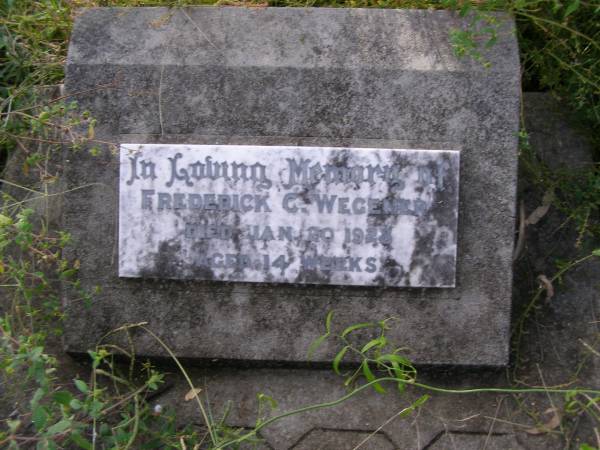 Frederick C. WEGENER,  | died 20 Jan 1928 aged 14 weeks;  | Milbong General Cemetery, Boonah Shire  | 