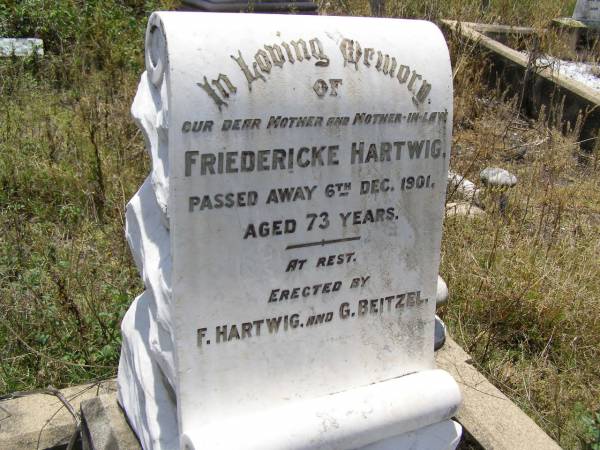 Friedericke HARTWIG,  | mother mother-in-law,  | died 6 Dec 1901 aged 73 years,  | erected by F. HARTWIG & G. BEITZEL;  | Milbong St Luke's Lutheran cemetery, Boonah Shire  | 