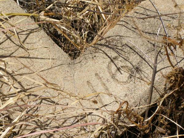 Milbong St Luke's Lutheran cemetery, Boonah Shire  | 