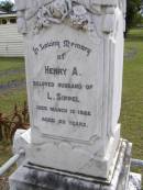 
Henry A., husband of L. SIPPEL,
died 13 March 1922 aged 53 years;
Minden Baptist, Esk Shire

