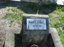 
Baby ZABEL
d: 10 Dec 1944
Minden Zion Lutheran Church Cemetery
