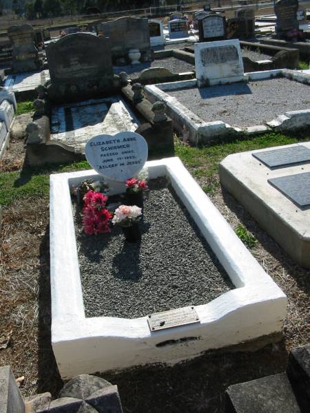 Elizabeth Anne SCHIRMER  | 17 Jun 1953  | daughter of pastor Adolf and Thelma SCHIRMER  | sister of Paul, Martin, Cynthia, Heather and Warren  | Minden Zion Lutheran Church Cemetery  | 