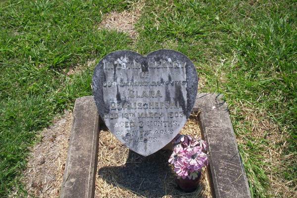 Clara QUALISCHEFSKI; d: 13 Mar 1903 aged 3 months  | Minden Zion Lutheran Church Cemetery  | Copyright: Kerry Hall  |   | 