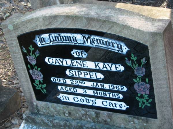 Gaylene Kaye SIPPEL  | 22 Jan 1962 aged 3 months  | Minden/Coolana - St Johns Lutheran  | 