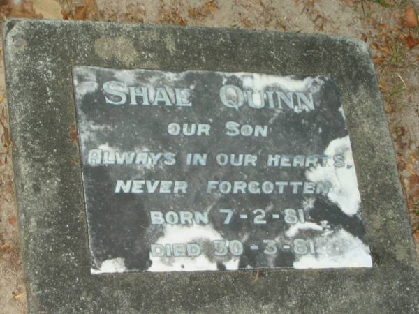 Shae QUINN,  | son,  | born 7-2-81,  | died 30-3-81;  | Mooloolah cemetery, City of Caloundra  |   | 