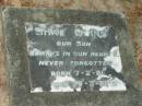
Shae QUINN,
son,
born 7-2-81,
died 30-3-81;
Mooloolah cemetery, City of Caloundra

