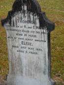 Thomas, youngest son of H. & E. MUNRO, accidentally killed 15 Dec 1923; Elsie, eldest daughter, died 29 May 1899 aged 5 years; Elizabeth MUNRO, mother, died 3 April 1925 aged 56 years; Mooloolah cemetery, City of Caloundra  