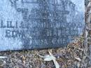 
Lilias Emily HAPGOOD,
mother;
Edward HAPGOOD,
father,
Maria COE,
grandmother;
Mooloolah cemetery, City of Caloundra

