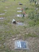 Mooloolah cemetery, City of Caloundra  