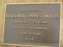 Bernard James DOYLE, 18-8-1942 - 15-4-2003, husband father poppy; Mooloolah cemetery, City of Caloundra 