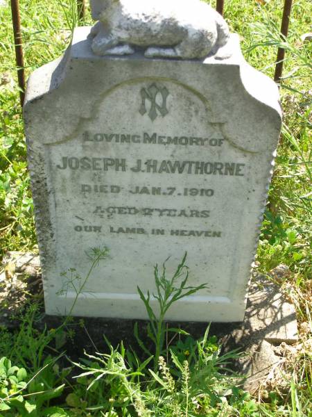 Joseph J. HAWTHORNE,  | died 7 Jan 1910 aged 2 years;  | Moore-Linville general cemetery, Esk Shire  | 