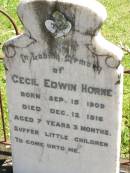
Cecil Edwin HORNE,
born 15 Sept 1909,
died 12 Dec 1916 aged 7 years 3 months;
Moore-Linville general cemetery, Esk Shire
