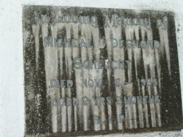 Michael Desmond SCHLECHT,  | died 5 Nov 1963 aged 2 years 2 months;  | Mt Mort Cemetery, Ipswich  | 