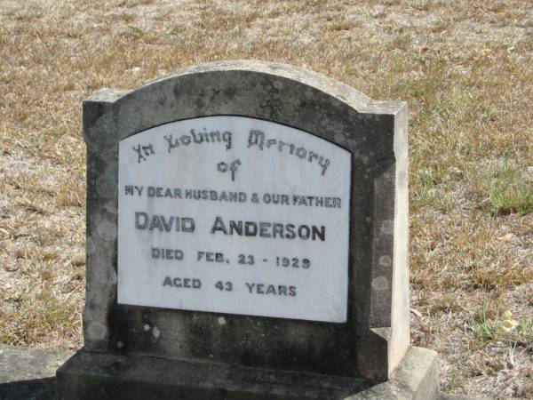 David ANDERSON  | 23 Feb 1929  | aged 43 yrs  |   | Mt Walker Historic/Public Cemetery, Boonah Shire, Queensland  |   | 