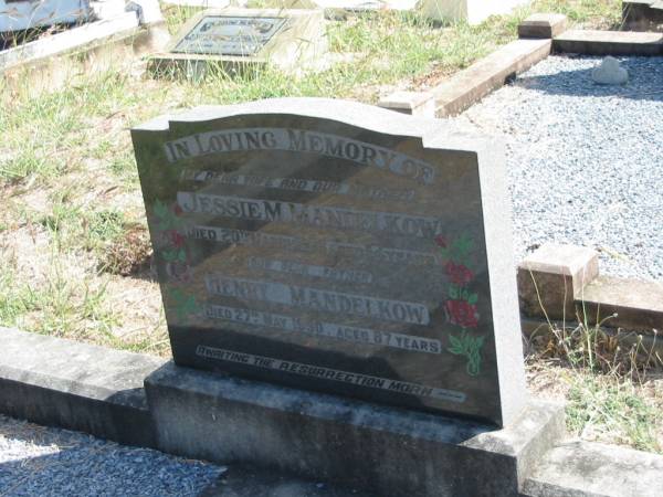 Jessie M MANDELKOW  | 20 Mar 1966  | aged 54  |   | Henry MANDELKOW  | 27 May 1990  | 87 yrs  |   | Mt Walker Historic/Public Cemetery, Boonah Shire, Queensland  |   | 