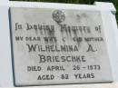 
Wilhelmina A BRIESCHKE
26 Apr 1973, aged 82
Mount Beppo Apostolic Church Cemetery
