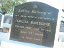 Louisa BRIESCHKE 14 Jul 1961, aged 57 Mount Beppo Apostolic Church Cemetery 