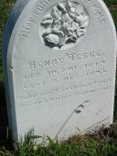 
Henry TESKE
b: 10 Nov 1849, d: 2 Dec 1893
Mount Beppo Apostolic Church Cemetery
