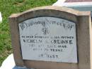 
Wilhelm A GREINKE
9 Sep 1949, aged 79
Mount Beppo Apostolic Church Cemetery
