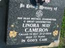 
Linora May CAMERON
21 Feb 1998, aged 73
Mount Beppo Apostolic Church Cemetery
