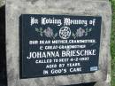 
Johanna BRIESCHKE
4 Feb 1997, aged 87
Mount Beppo Apostolic Church Cemetery
