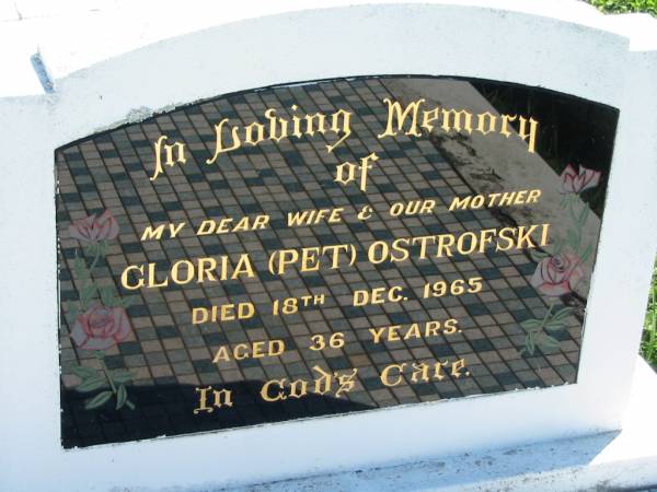 Gloria (Pet) OSTROFSKI  | 18 Dec 1965, aged 36  | Mount Beppo Apostolic Church Cemetery  | 