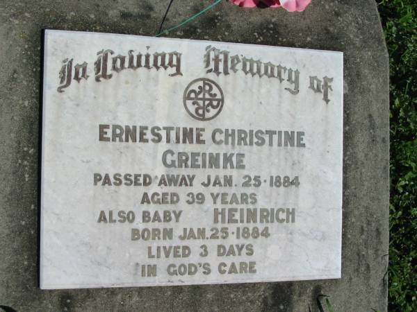 Ernestine Christine GREINKE  | 25 Jan 1884, aged 39  | baby Heinrich (GREINKE)  | 25 Jan 1884, aged 3 days  | Mount Beppo Apostolic Church Cemetery  | 