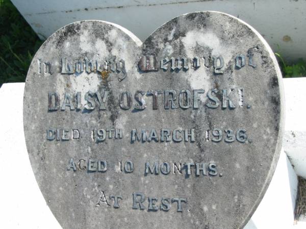 Daisy OSTROFSKI  | 19 Mar 1936, aged 10 months  | Mount Beppo Apostolic Church Cemetery  | 