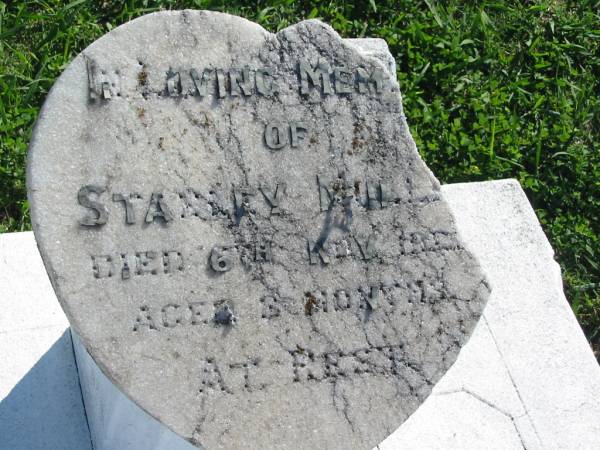 Stanley MILLE?  | 6 Nov 1922? aged 8 months  | Mount Beppo Apostolic Church Cemetery  | 